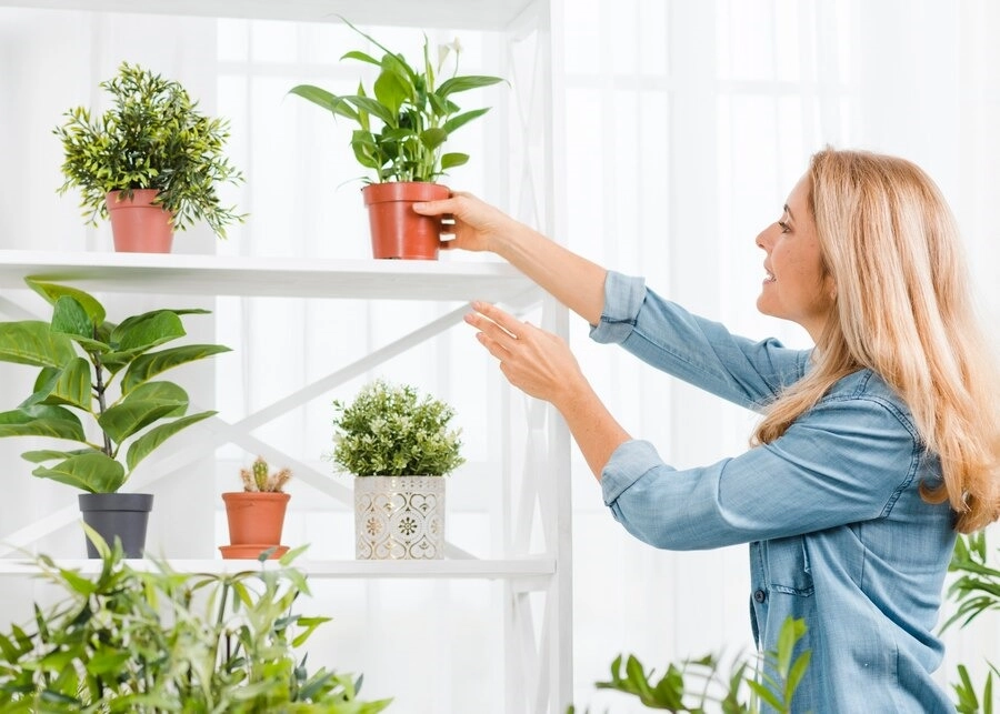 Lush Living: How to Transform Spaces With Indoor Plants