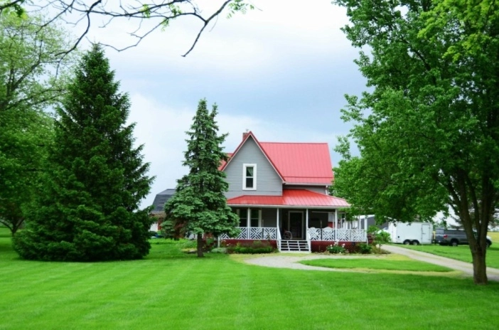 Practical Guide to Home Maintenance and Pest Prevention