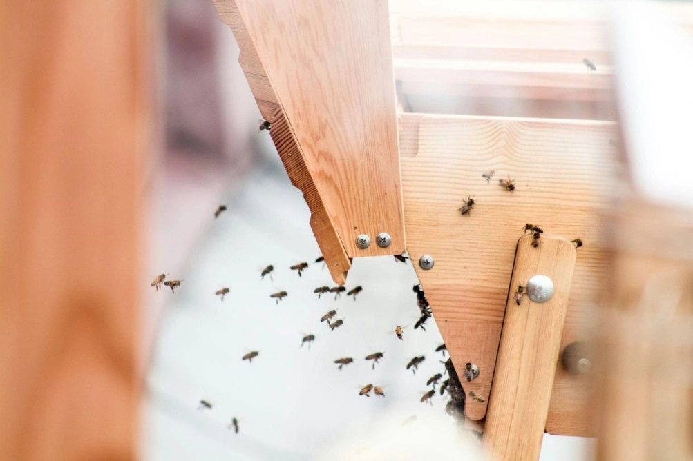Practical Guide to Home Maintenance and Pest Prevention
