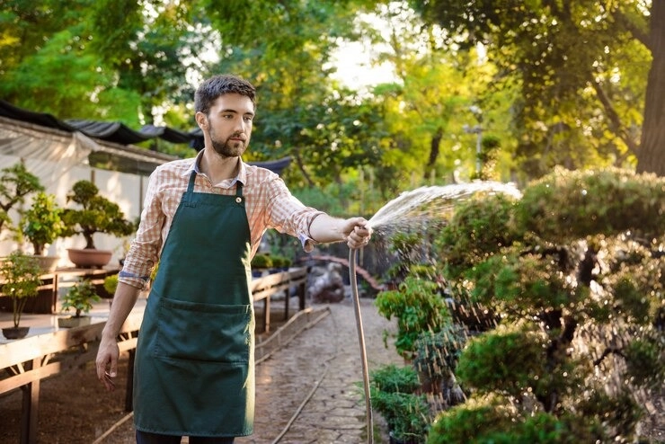 SEASONAL GARDENING IN DENVER -