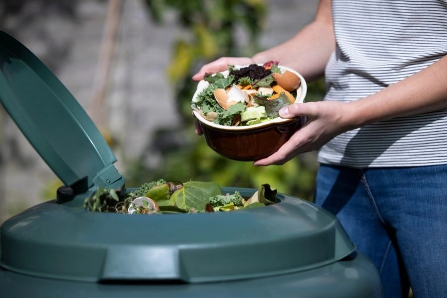 Simple Upgrades To Make Your Home Sustainable in 2022 -