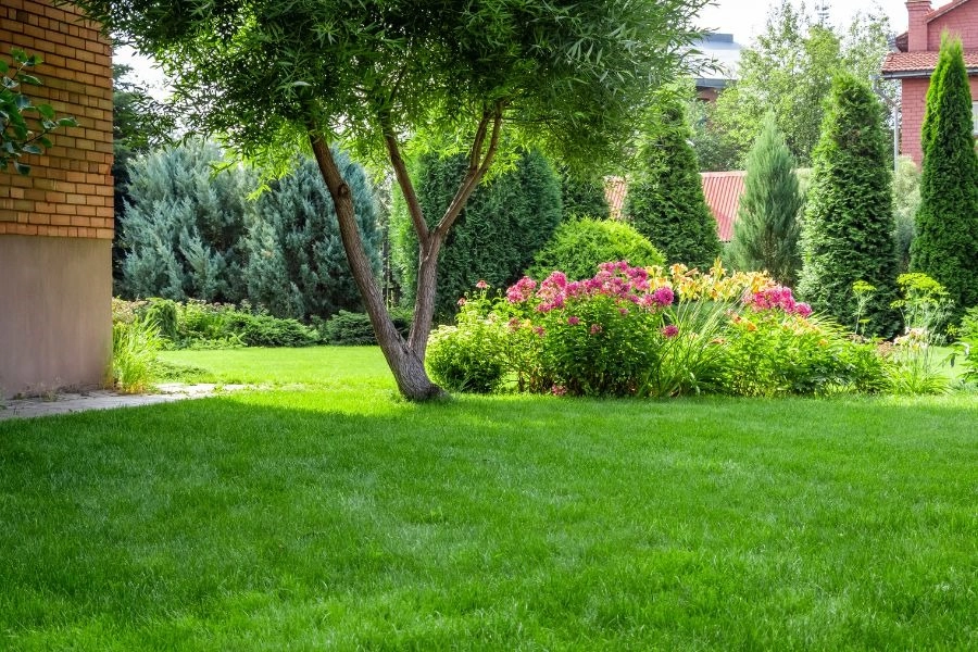 The Best Ways To Protect and Beautify Your Lawn -