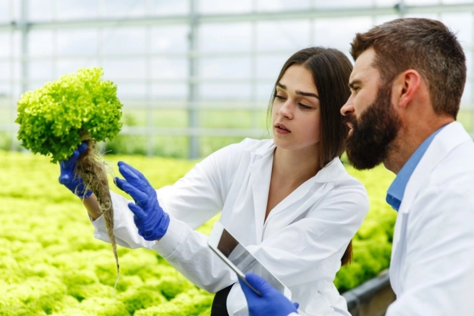 Top Benefits Sustainable Farming in Texas: Boost Efficiency & Productivity