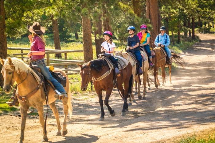 Horse Trails in Highlands Ranch