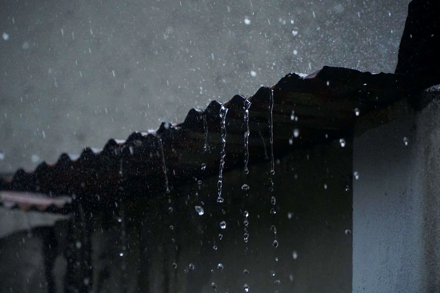 Storm Drain Warning Signs Every Property Owner Should Know
