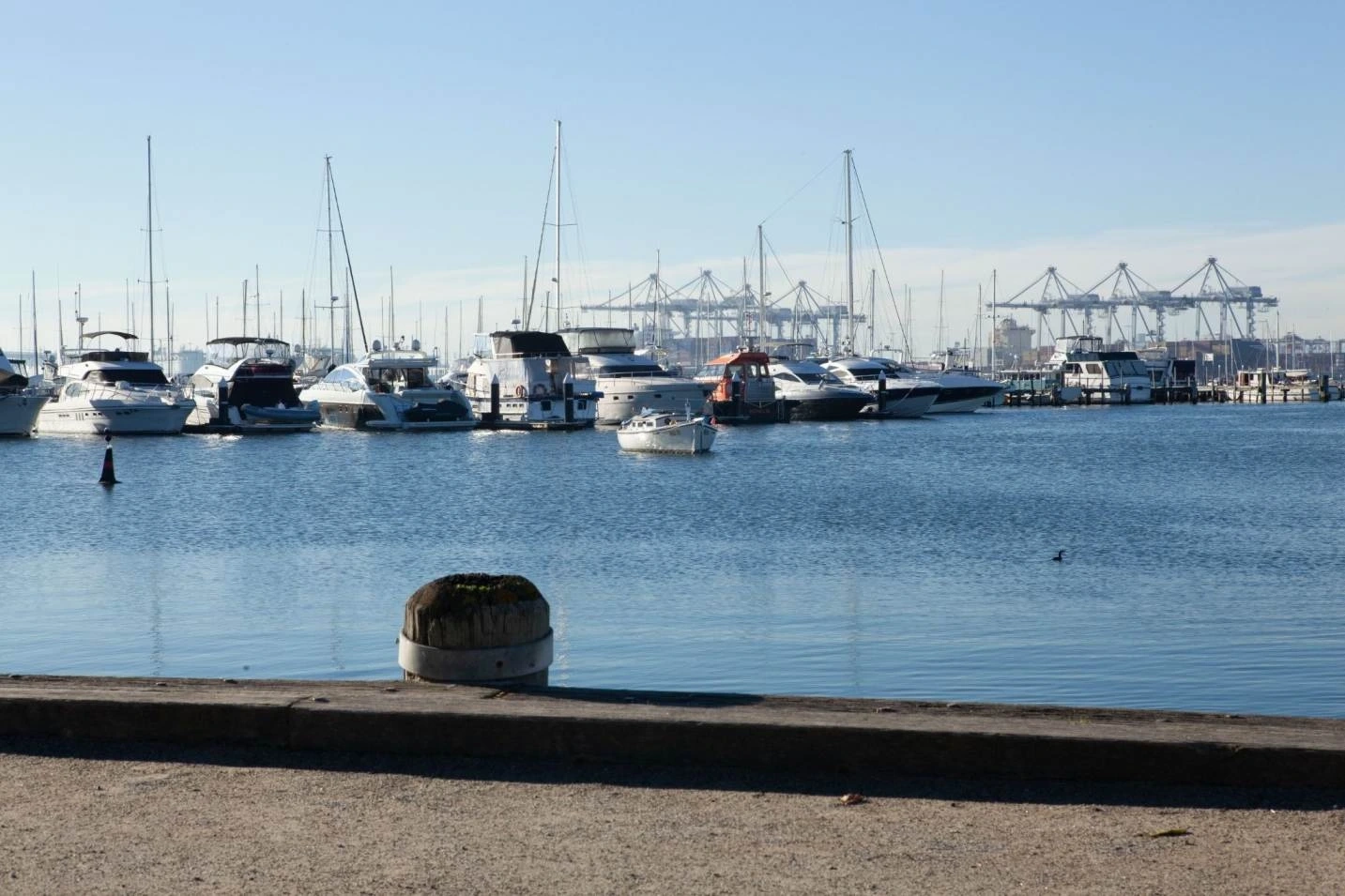 The Great Relocation: How to Find a Neighborhood That Perfectly Blends History, Lifestyle, and Wa...