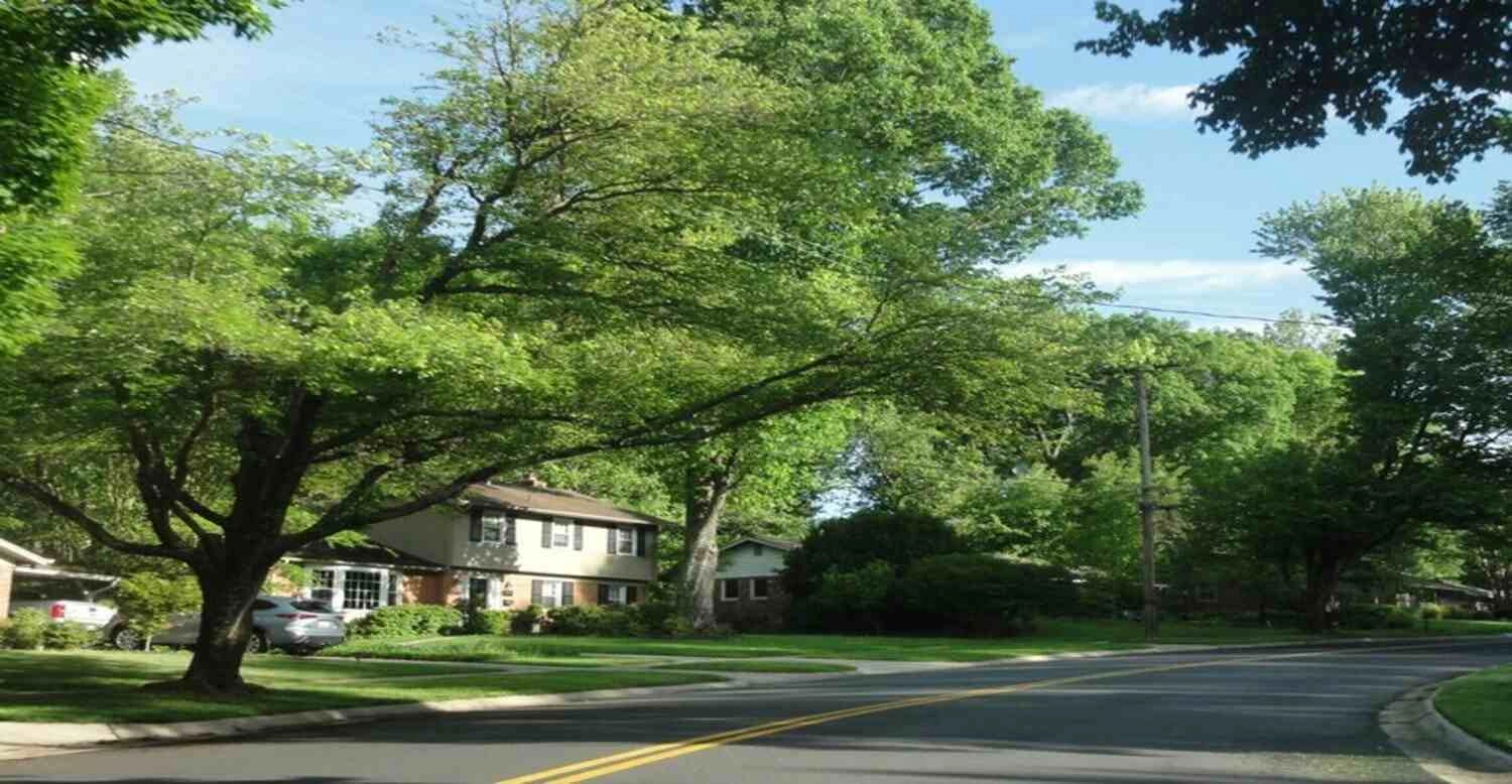 Why Location Matters: Finding Your Ideal Spot