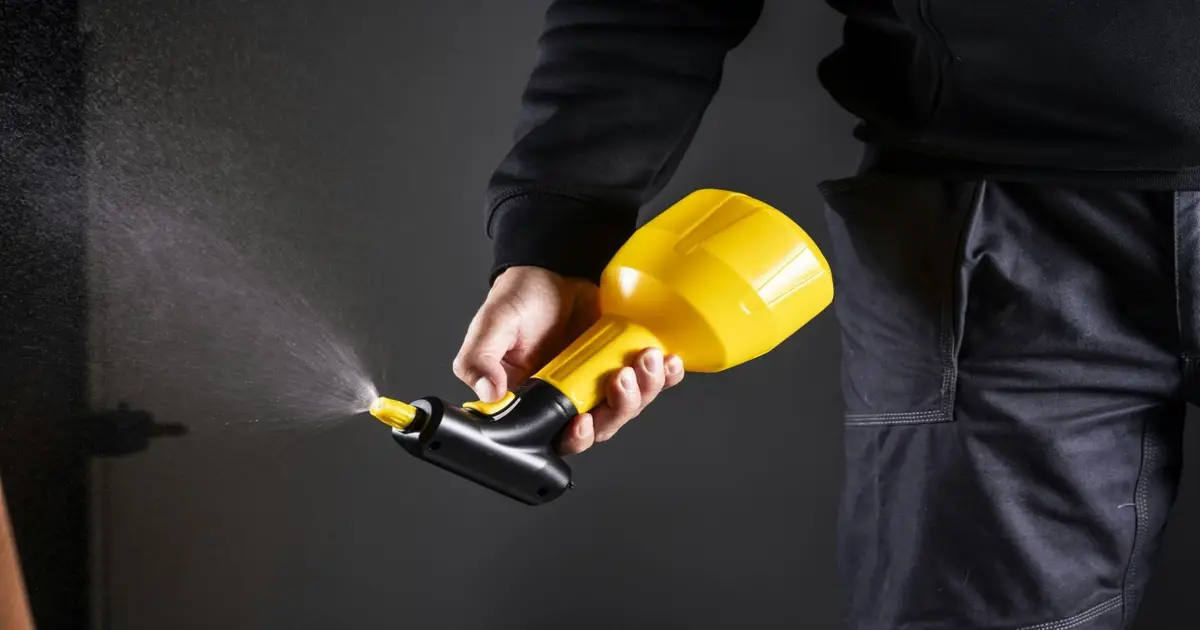 What Termite and Pest Issues Really Tell Buyers and Sellers About a Home