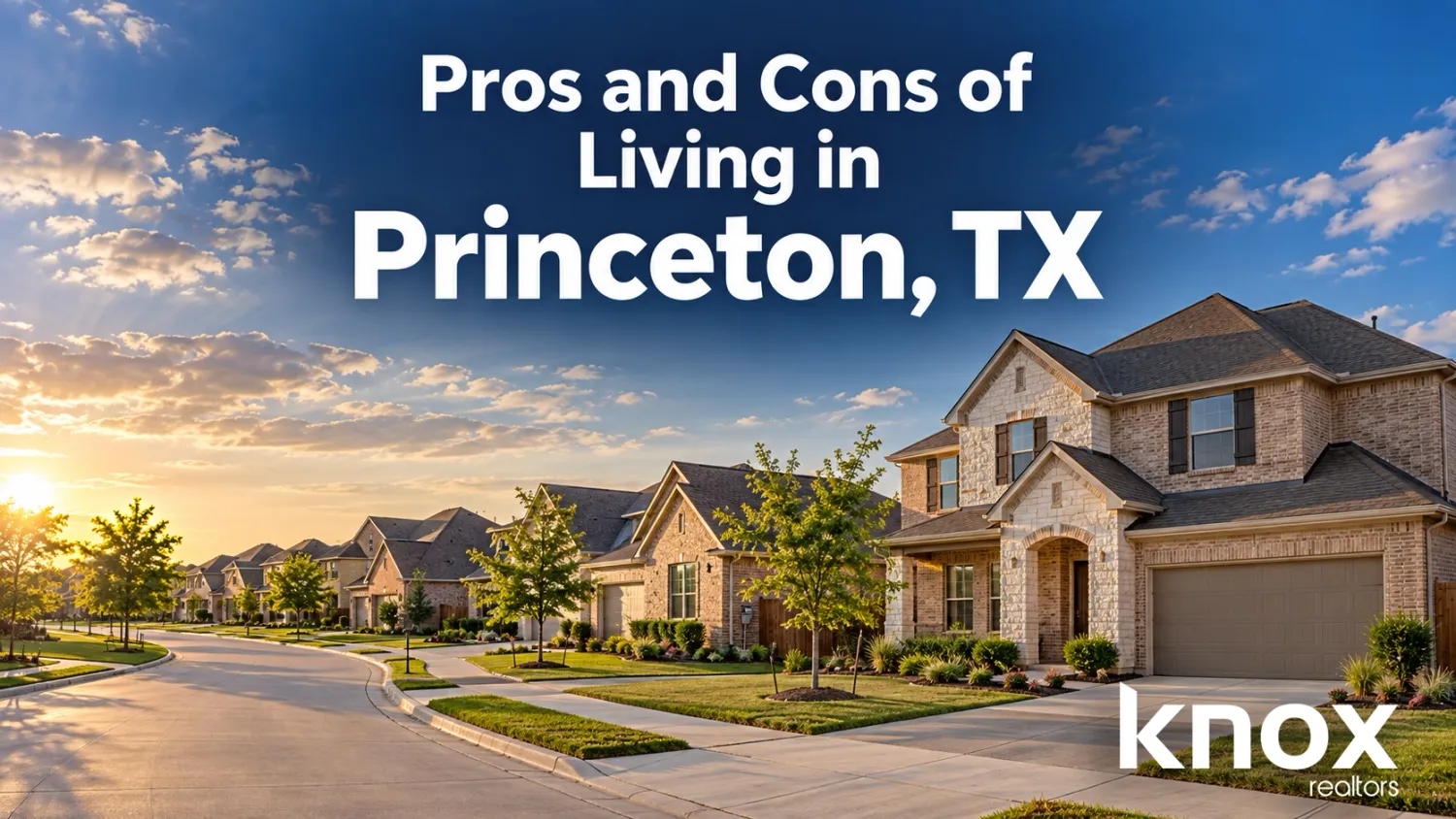 Pros and Cons of Living in Princeton TX: What Homebuyers Should Know