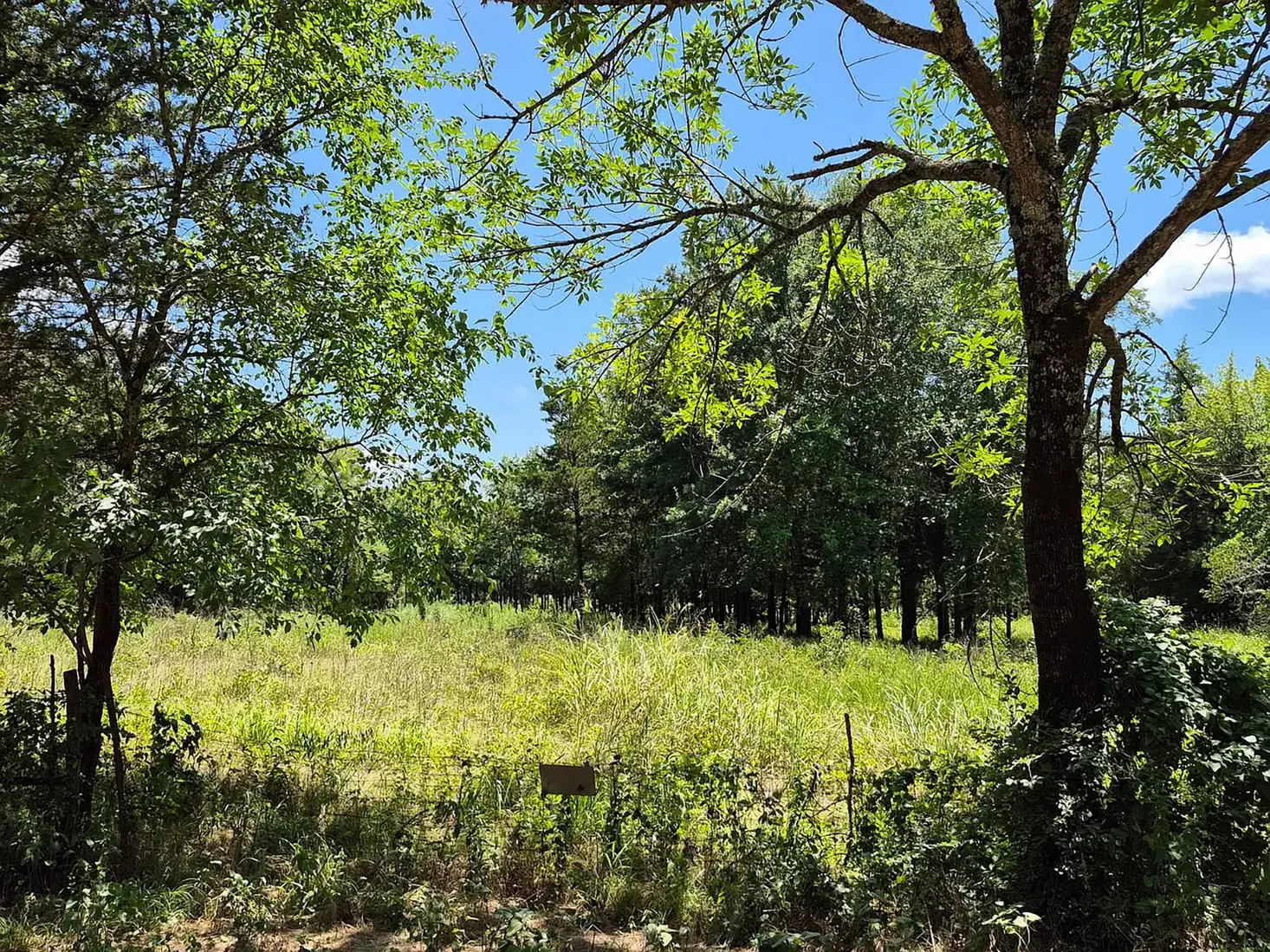 Fenced field and mature trees at 3282 Rock Creek Rd, Sawyer, OK