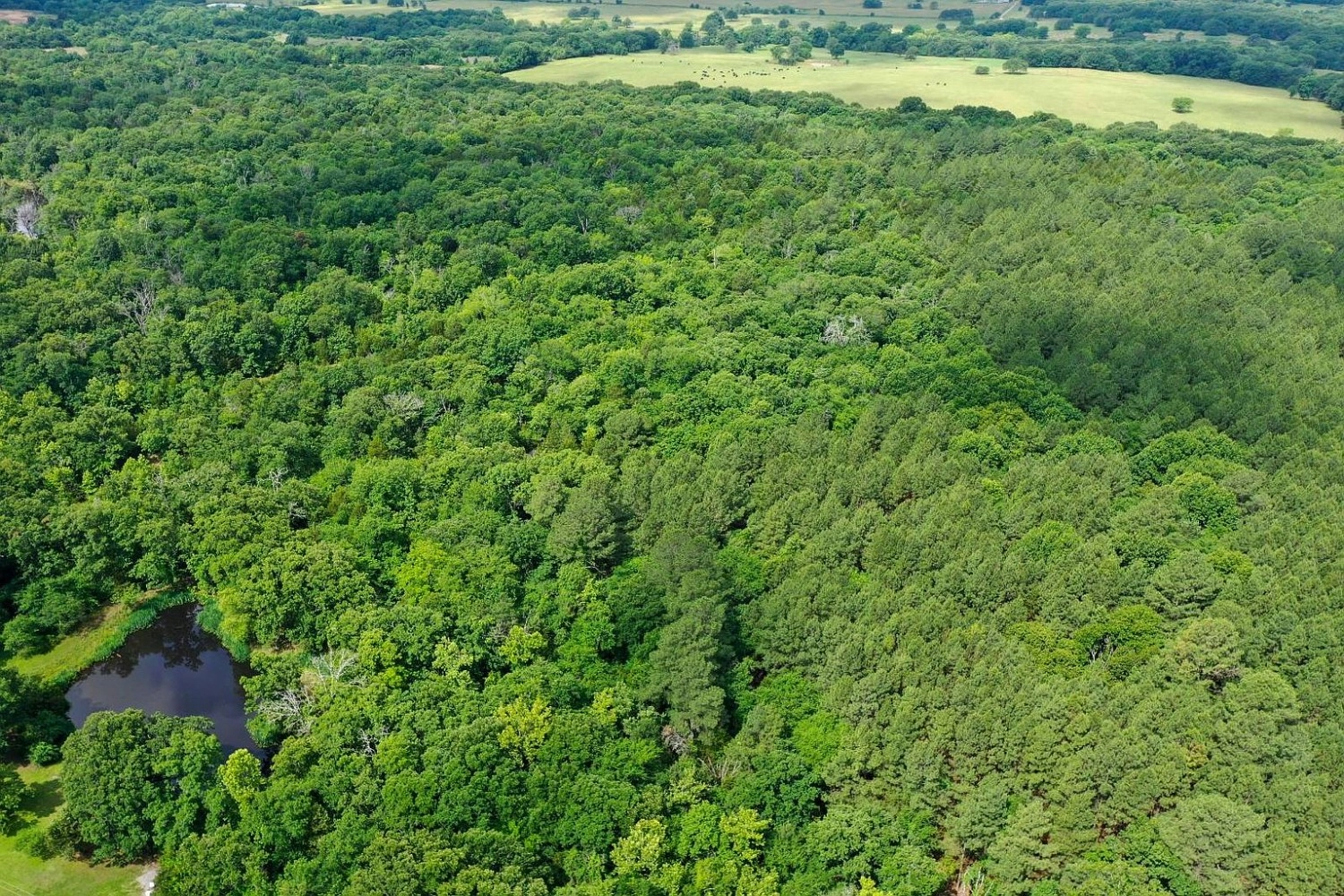 000 Leavenworth Trail Mead OK - aerial view
