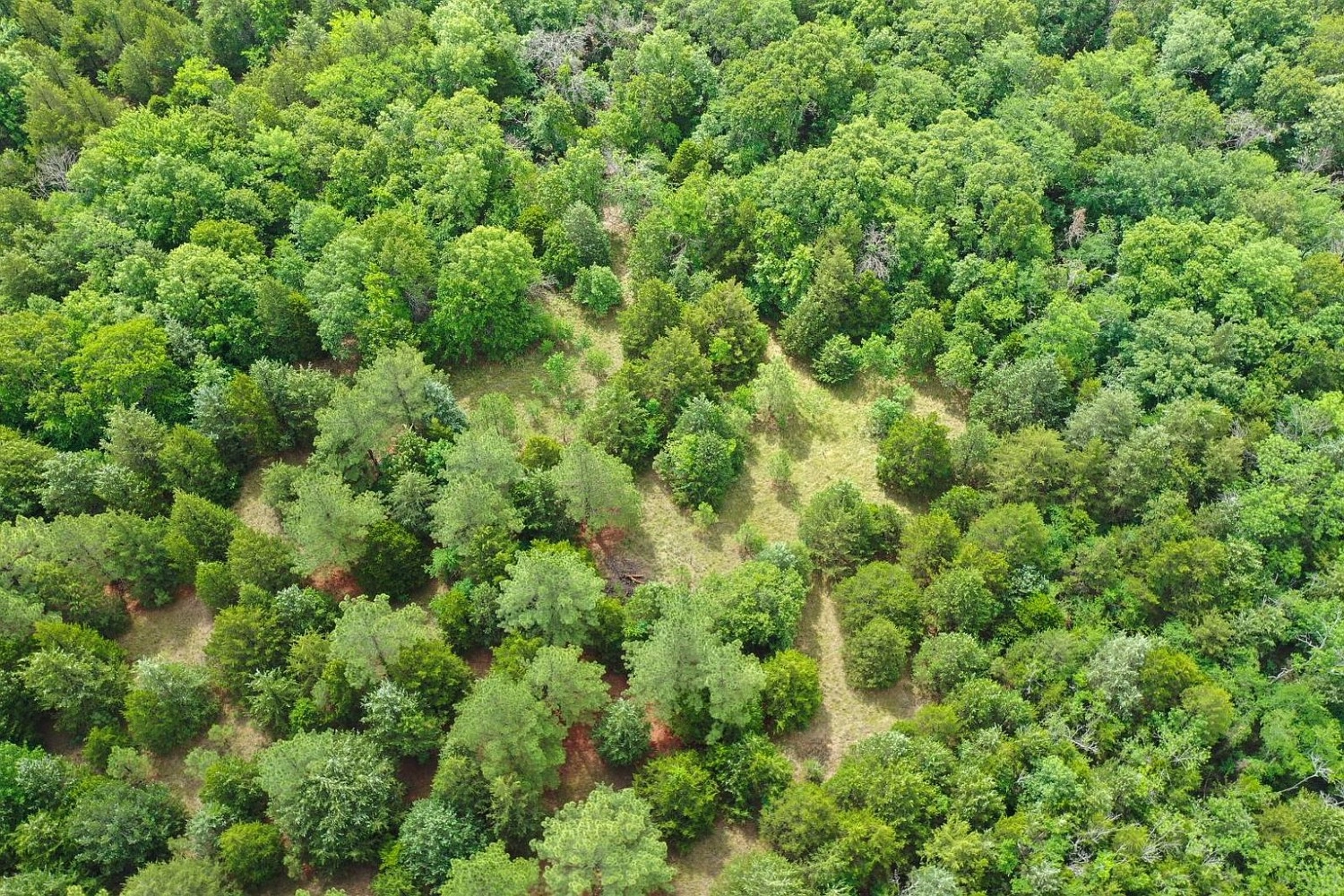 000 Leavenworth Trail Mead OK - aerial view