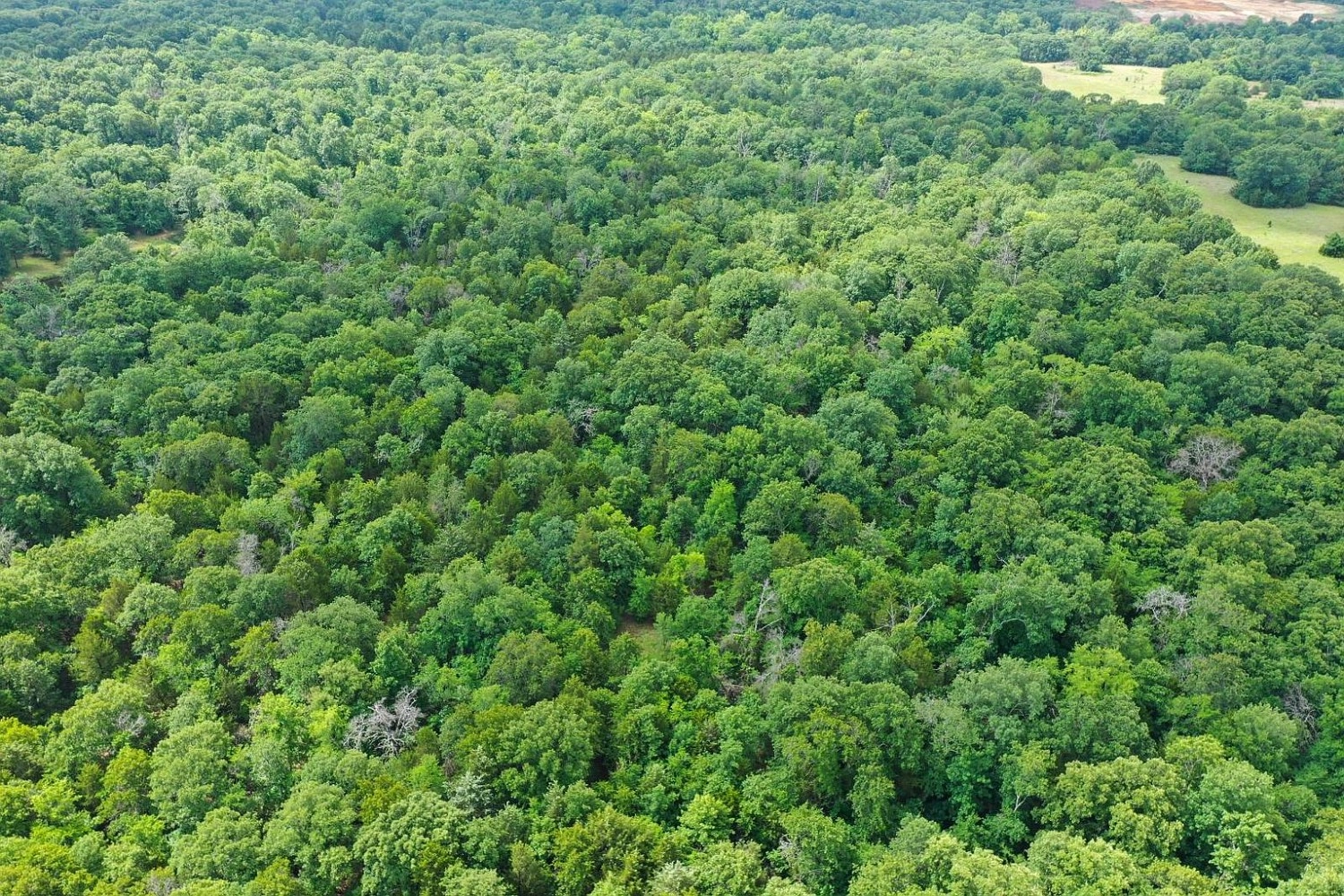 000 Leavenworth Trail Mead OK - aerial view