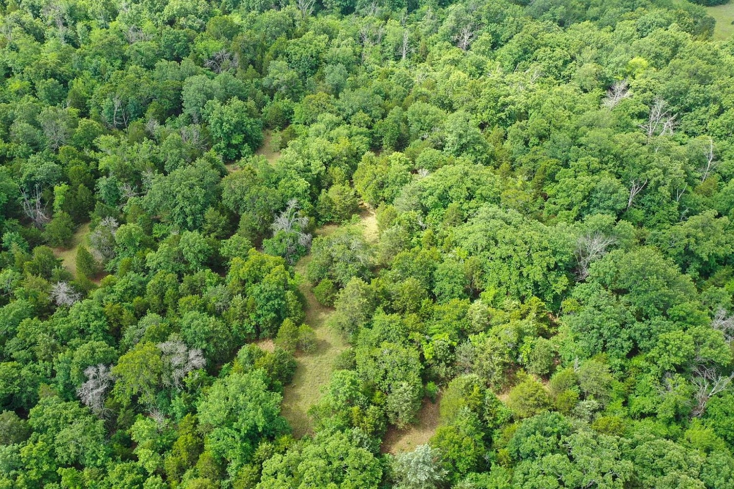 000 Leavenworth Trail Mead OK - aerial view