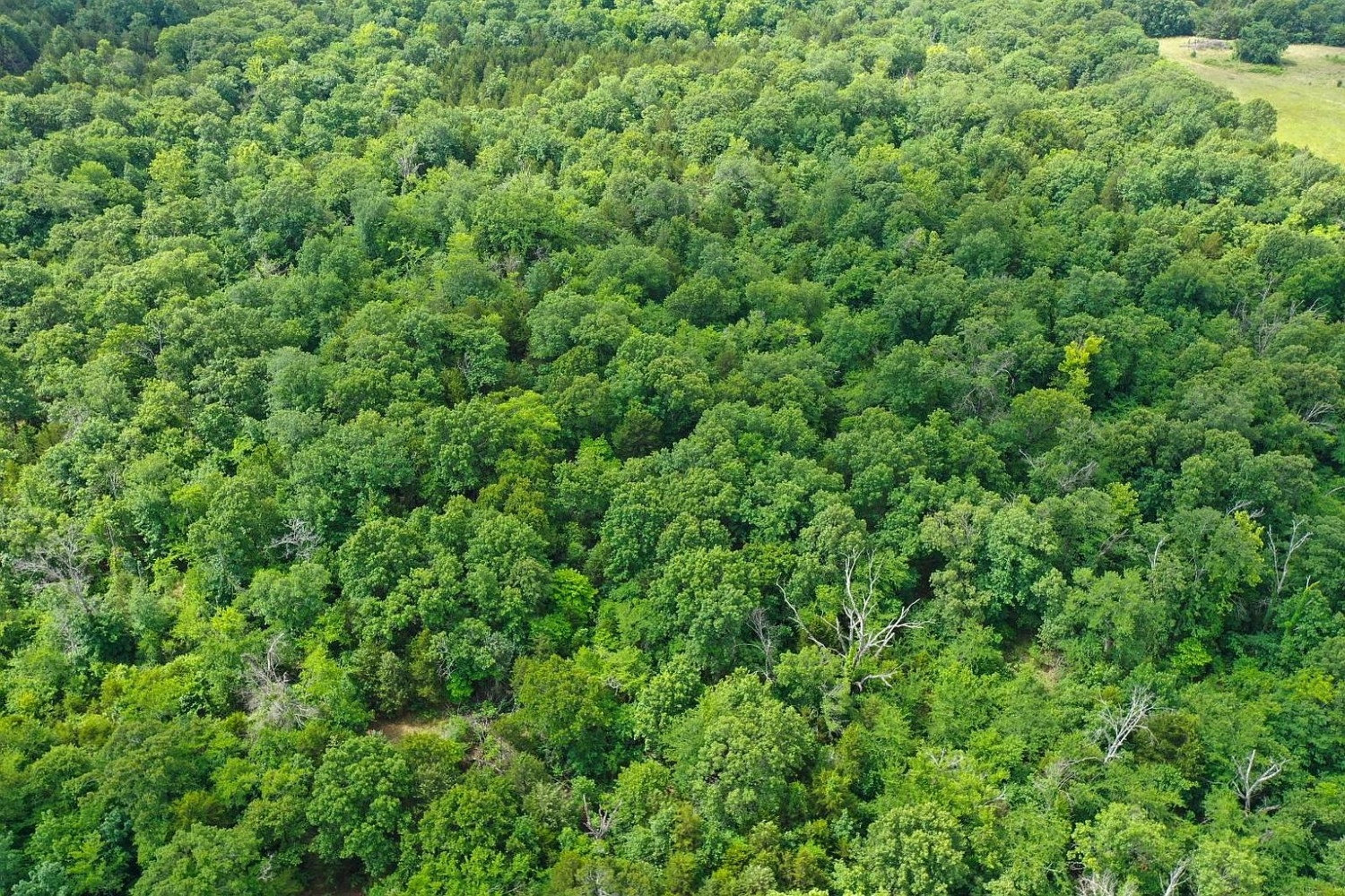 000 Leavenworth Trail Mead OK - aerial view