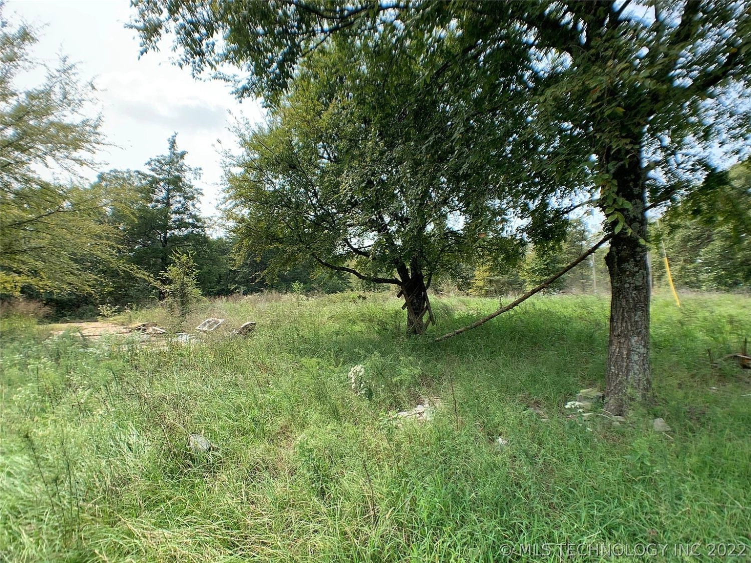 216 N Highland Atoka OK - yard