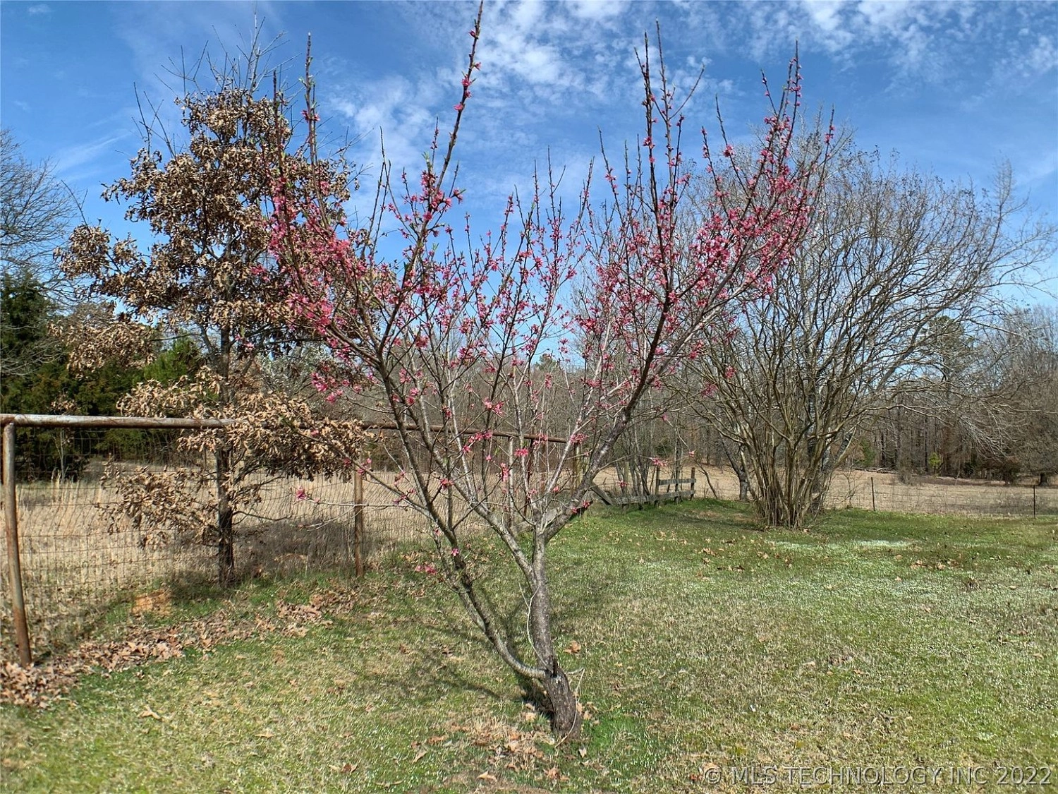 9675 S Cold Springs Road Atoka OK - yard