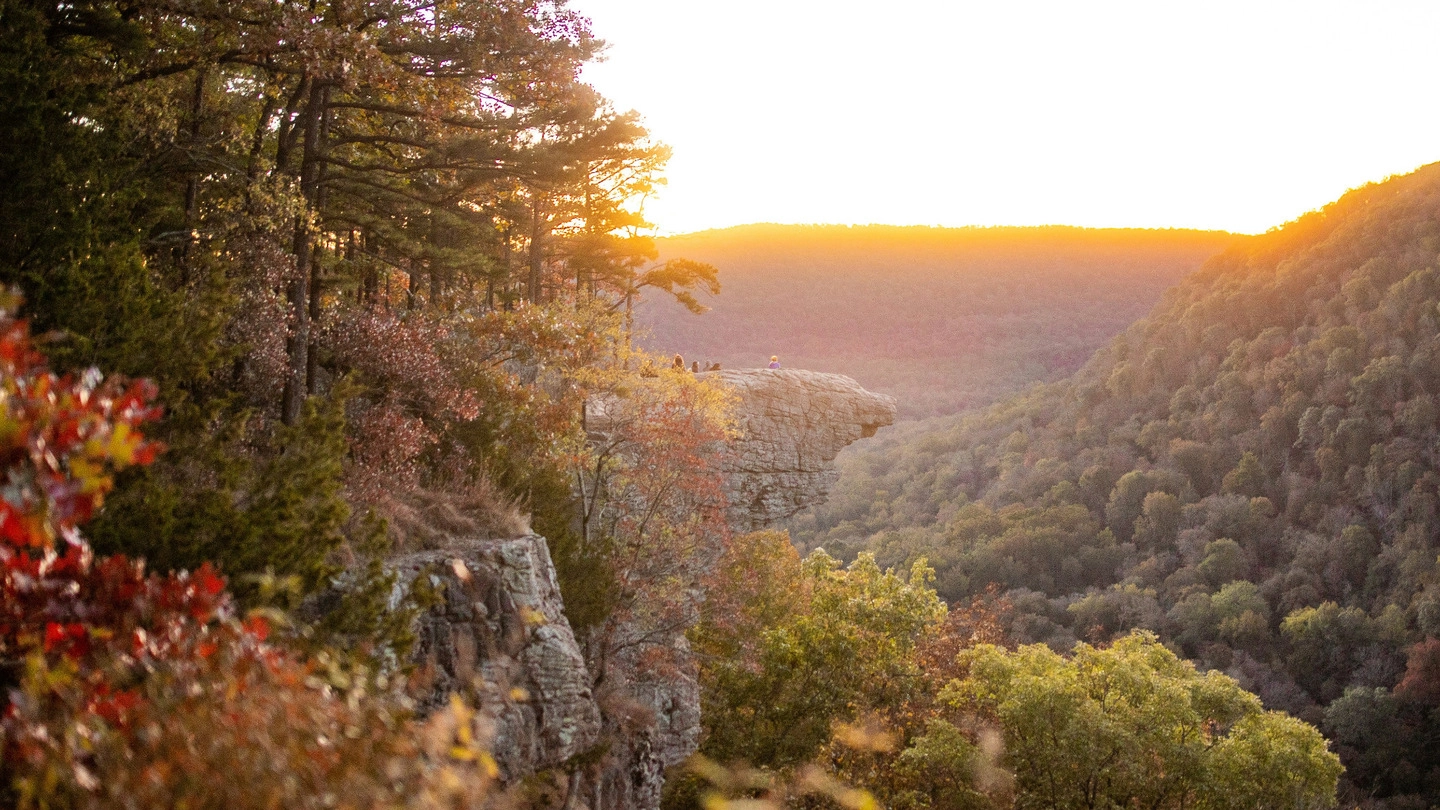 Which Northwest Arkansas City Should You Explore First
