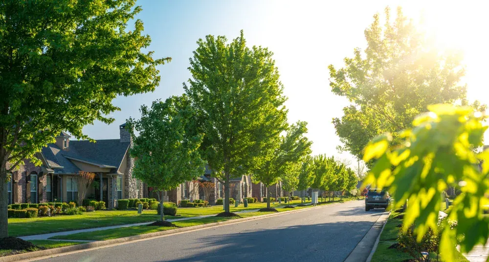 Tree-lined residential street with brick homes and sidewalks