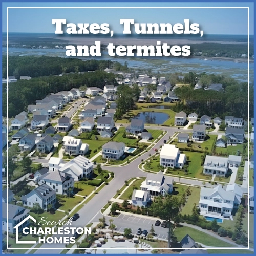 Mount Pleasant, SC Taxes Tunnels and termites