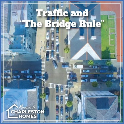 Mount Pleasant, SC Taxes Tunnels and termites