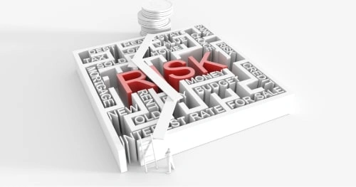 Potential Challenges and Risks
