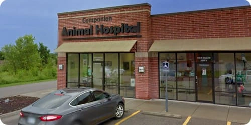 Companion Animal Hospital on Maize Rd