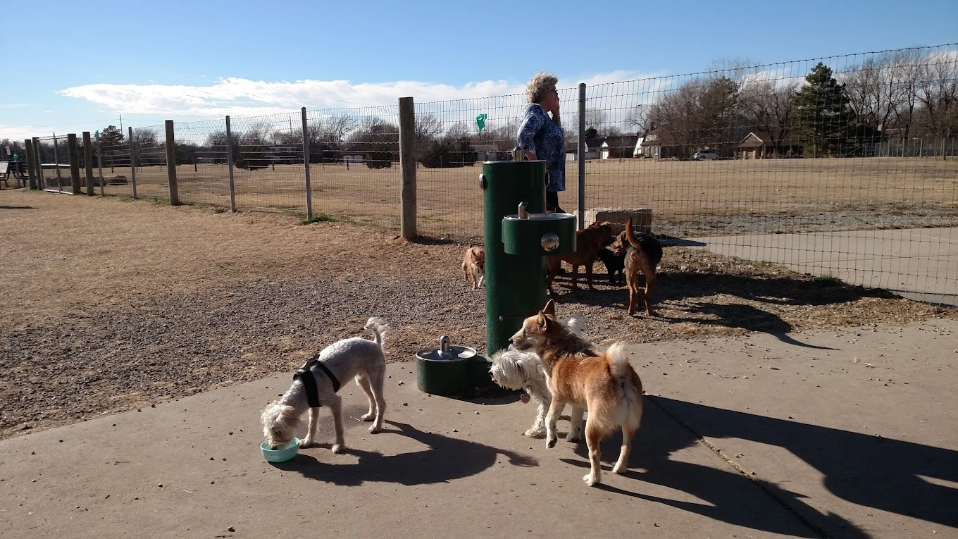 k-9_Rooster_Dog_off_leash_park_near_me_wichita_ks k-9_Rooster_Dog_off_leash_park_near_me_wichita_ks