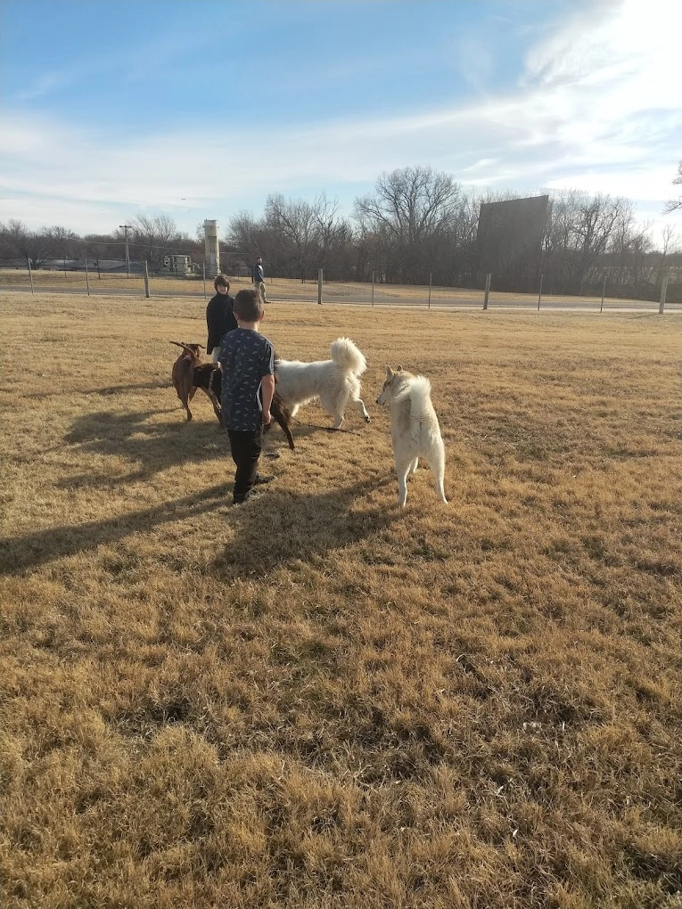 Chapin_Dog_off_leash_park_near_me_wichita_ks Chapin_Dog_off_leash_park_near_me_wichita_ks