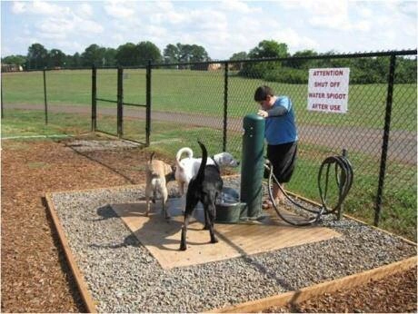 Murfin_Animal_Care_Dog_off_leash_park_in_wichita_ks_Dog_off_leash_Park_Near_me Murfin_Animal_Care_Dog_off_leash_park_in_wichita_ks_Dog_off_leash_Park_Near_me