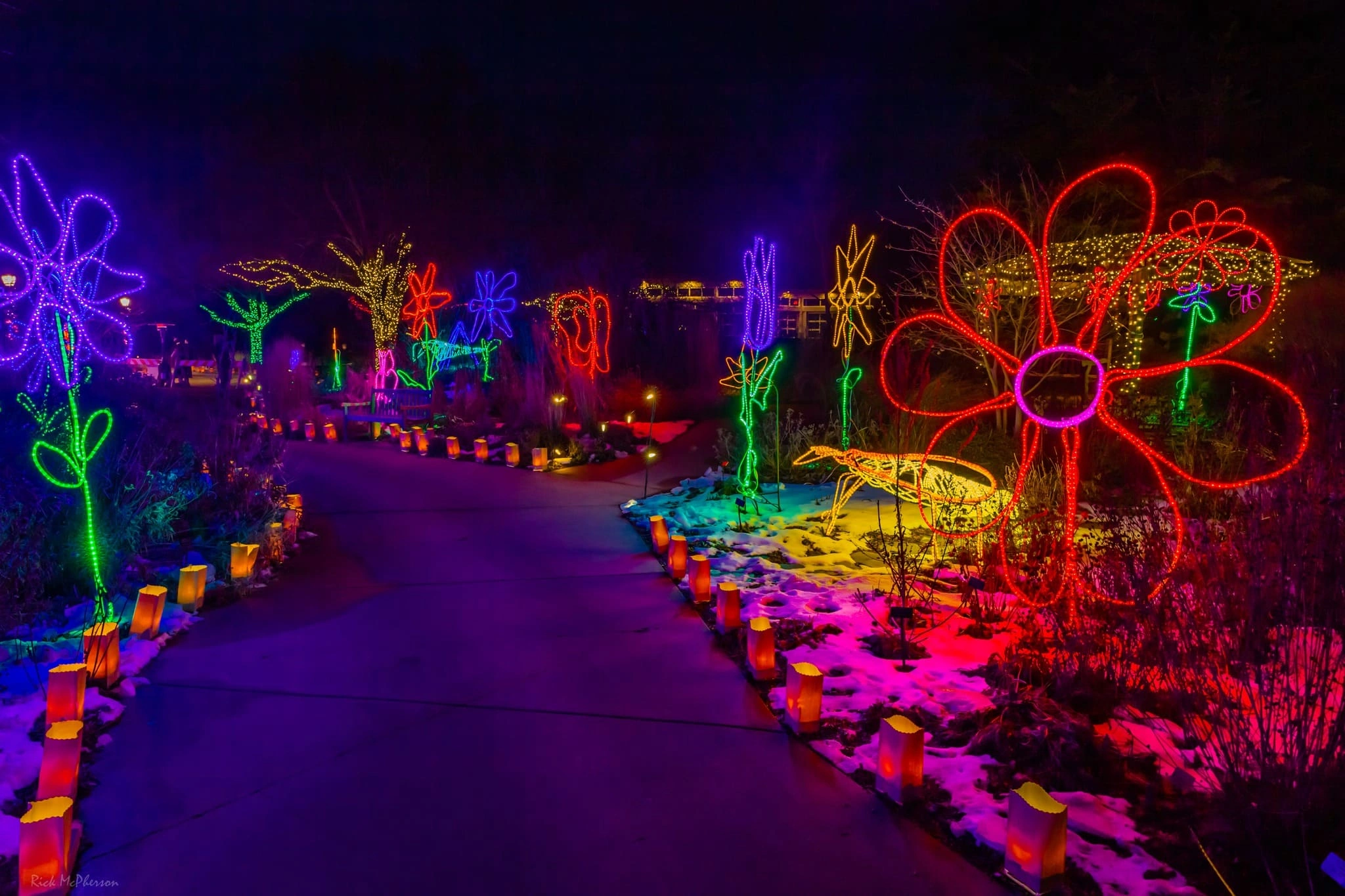 Illuminations at Botanica Wichita KS