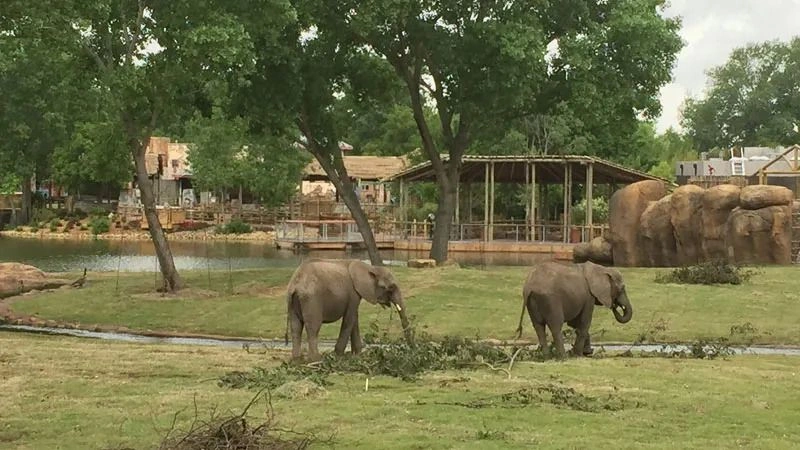 sedgewick-county-zoo