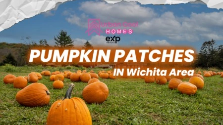 The Ultimate Guide to Pumpkin Patch | Wichita, KS