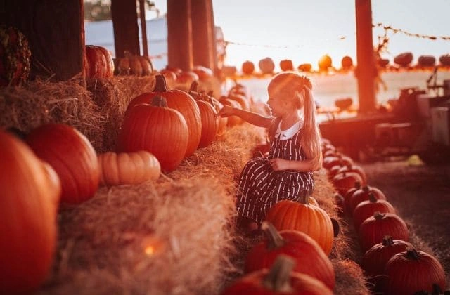 Cedar Creek Farm and Pumpkin Patch