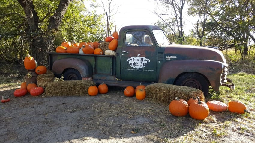 P and M Pumpkin Ranch Moundrige, KS