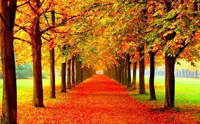 7 Tips to get your Home Ready for Fall