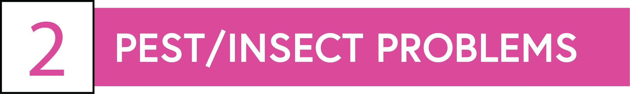 Pest/Insect problems Header for section 2 titled