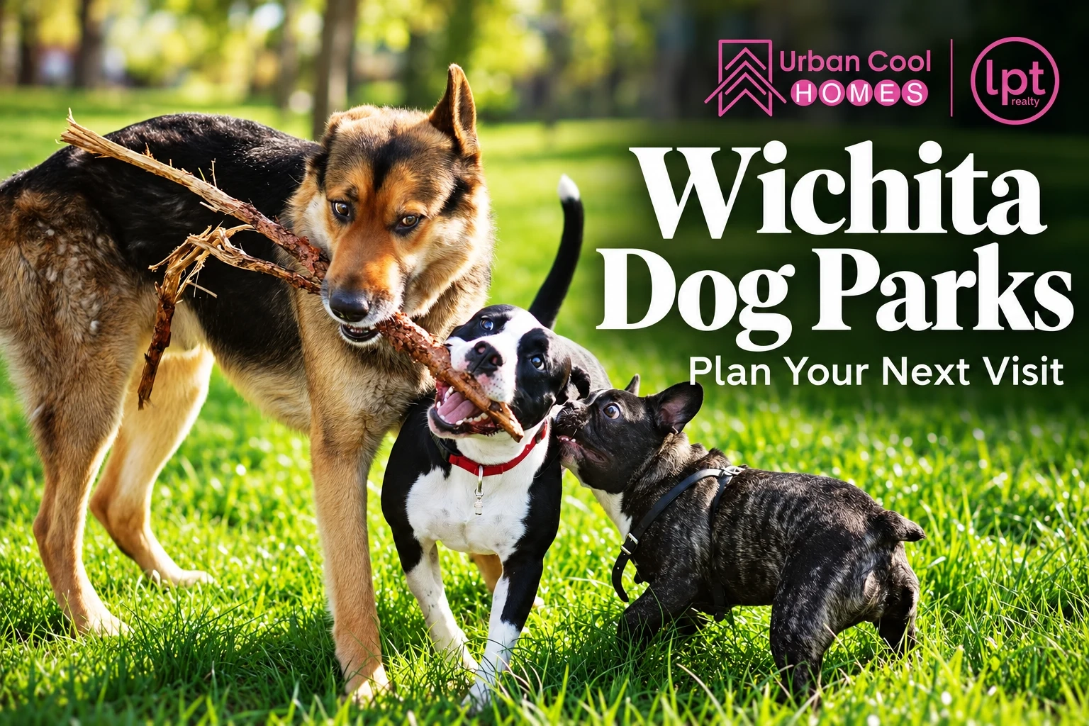 Off-Leash Dog Parks in Wichita: Locations, Amenities and Rules
