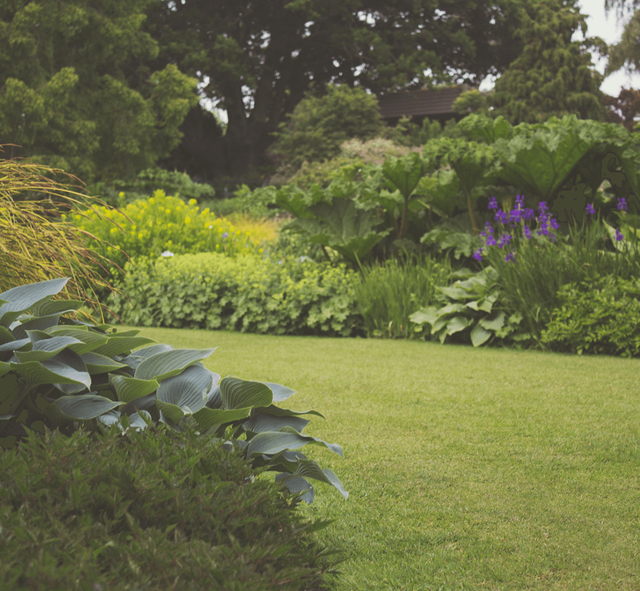 Plants are a great way to provide some much needed color, privacy and overall tranquility to your life and backyard