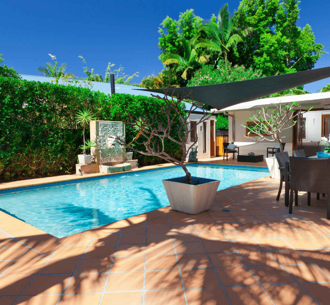 Backyard pool with privacy thanks to the use of tall hedges and bushes