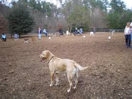 North Raleigh, NC Dog Park Millbrook Exchange