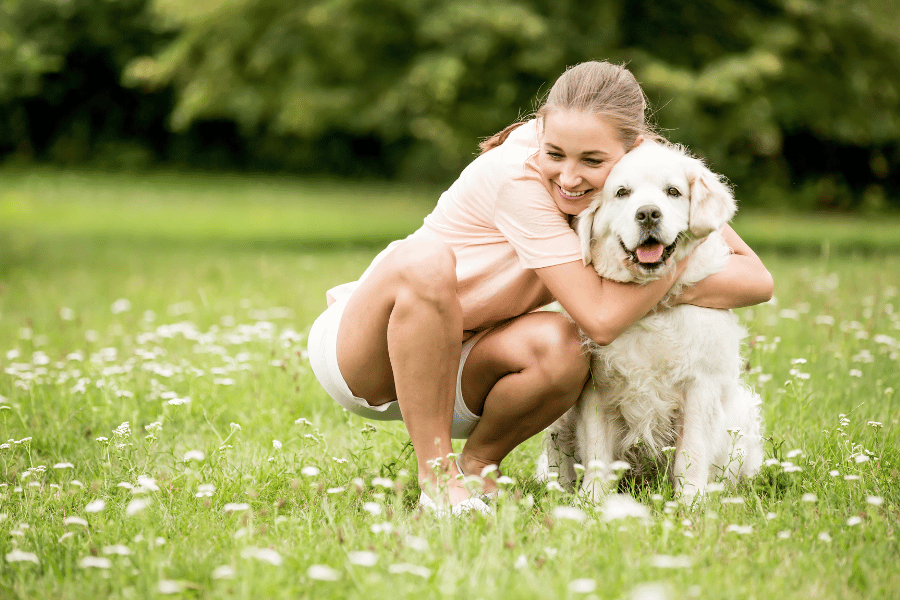 North Carolina Dog Days: Top Places to Beat the Heat With Your Pet in Raleigh, NC