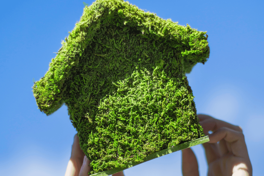 7 Green Building Trends in Raleigh Real Estate