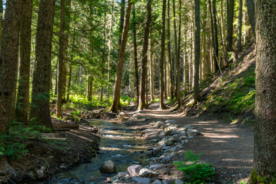 Great Outdoors in the Triangle: Nature Trails and Natural Areas Edition