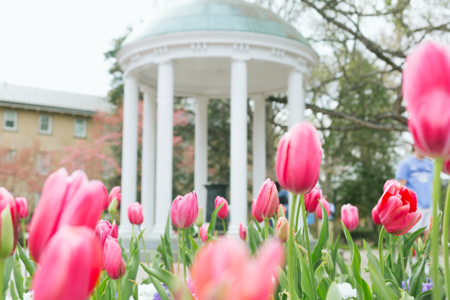 UNC Old Well with pink flowers