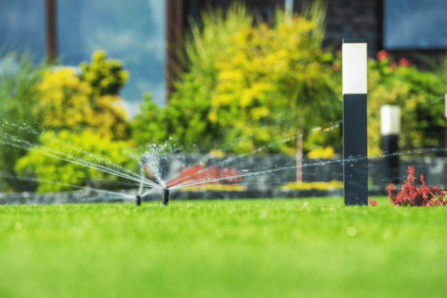 Water your lawn to keep it green