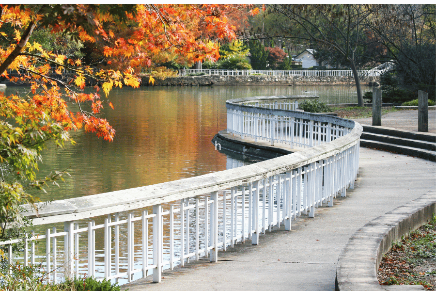 Take the whole family for a fun day at Pullen Park