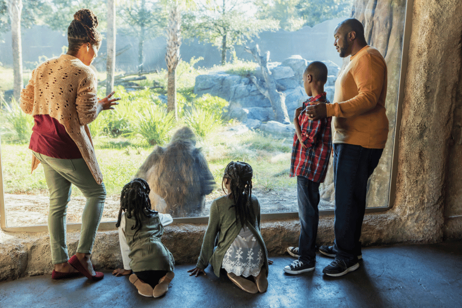 Exhibit in the Zoo in NC with a family