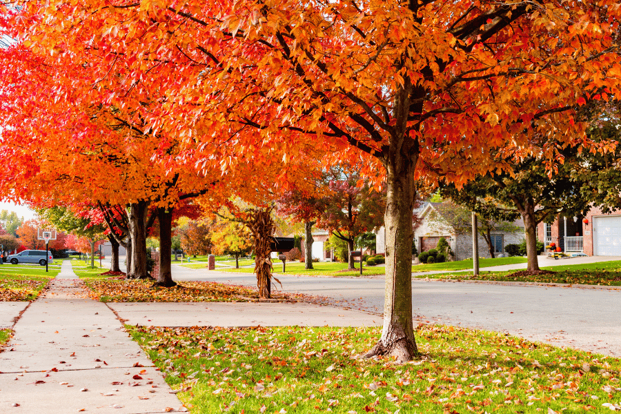 Buy a beautiful home in a suburban neighborhood in Clayton, NC