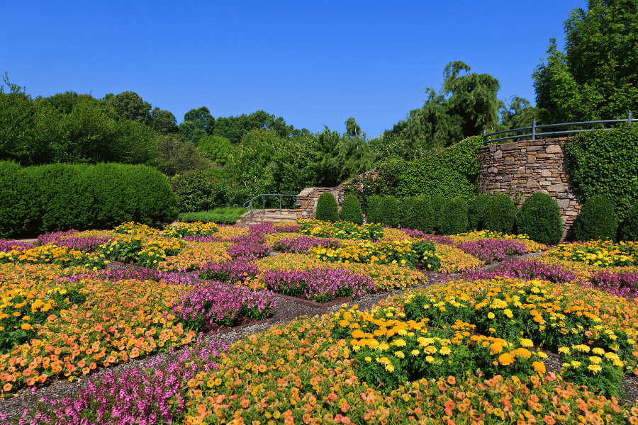 JC Raulston Arboretum flowers in Raleigh NC